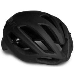 Kask Protone Icon WG11 schwarz matt - Versand 24h