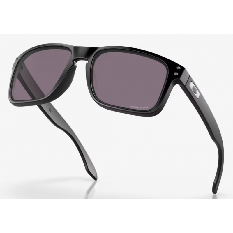 Oakley Holbrook Matte Black Linse Prizm Grey OO9102-E855 - Versand 24h
