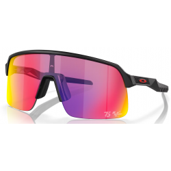 Oakley Sutro Lite MotoGP Kollektion Matt Schwarz Linse Prizm Straße