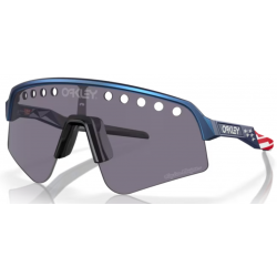 Oakley Sutro Lite Sweep Troy Lee Designs Blau Colorshift prizm grau
