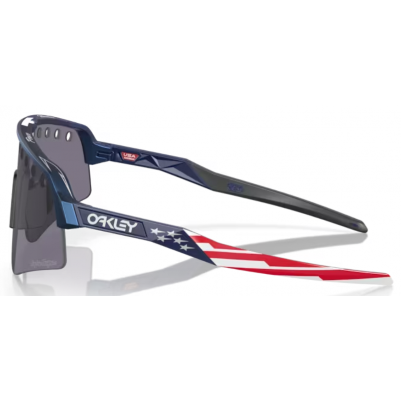 Oakley Sutro Lite Sweep Troy Lee Designs Blau Colorshift prizm grau