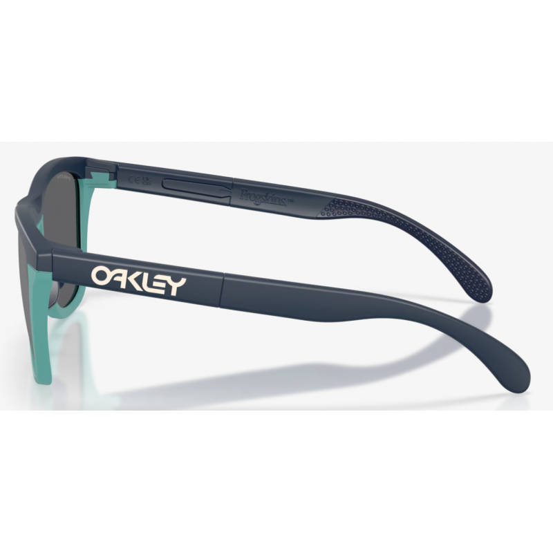Oakley Frogskins Range matte abyss Linse prizm schwarz OO9284-1755