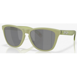 Oakley Frogskins matte farn linse prizm schwarz polarisiert OO9013-M255