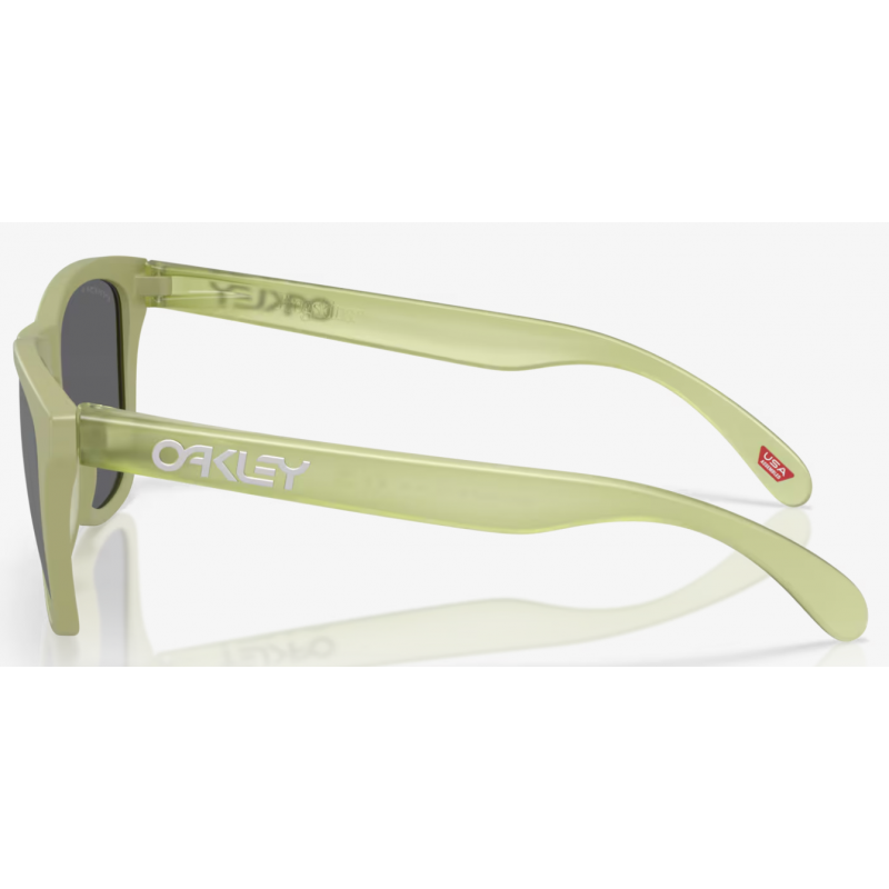 Oakley Frogskins matte farn linse prizm schwarz polarisiert OO9013-M255
