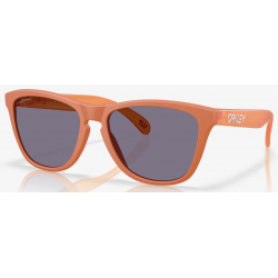 Oakley Frogskins Matte Ginger Linse Prizm Grau OO9013-M155 - Versand 24h