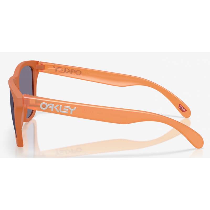 Oakley Frogskins Matte Ginger Linse Prizm Grau OO9013-M155 - Versand 24h