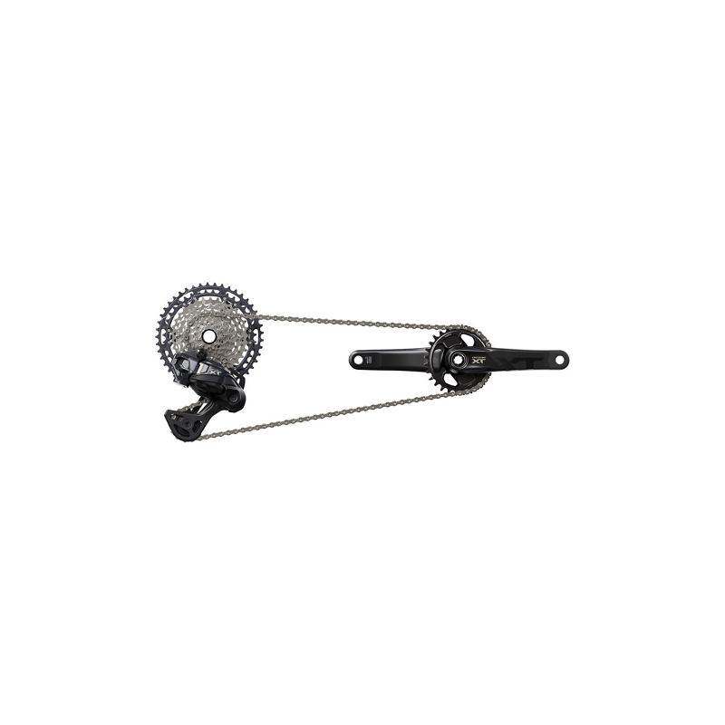 Shimano XT M8200 12V 10-51 | Kassette MTB Micro Spline