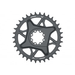 Sram Gx Eagle T-Type Direct Mount 12V Offset 3mm 34D Platte - Versand 24h
