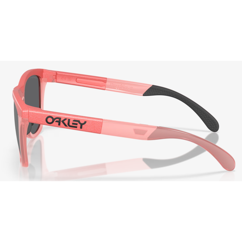 Oakley Frogskins Range Velocity Collection Linse prizm schwarz polarisiert