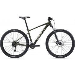 GIANT Talon 2 29 | Beste Preise | Pedalmoto