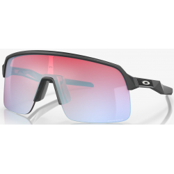 Oakley Sutro Lite Matte Carbon Linse Prizm Snow Sapphire OO9463-1739